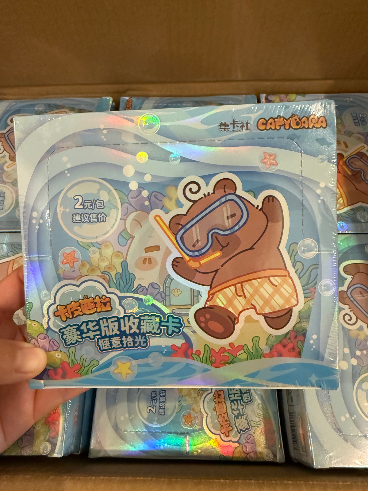 Card Fun Capybara Anime Cute Card Collection Trading Cards Sealed Box